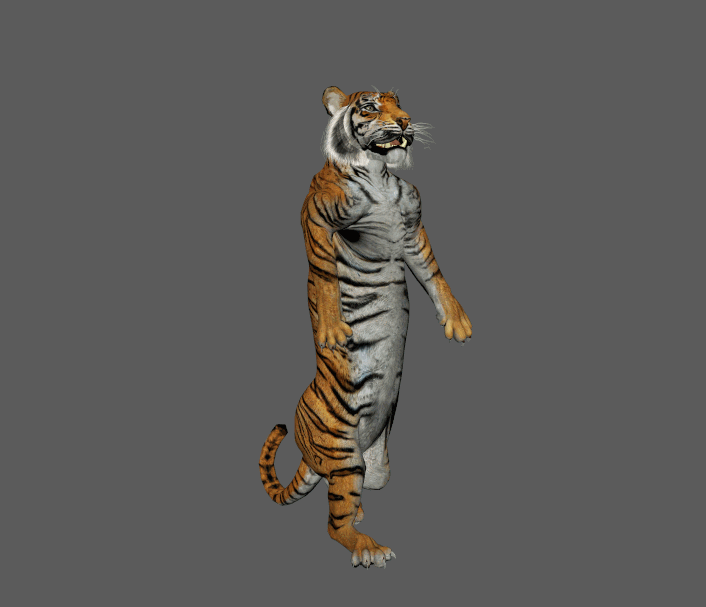 tiger walking gif