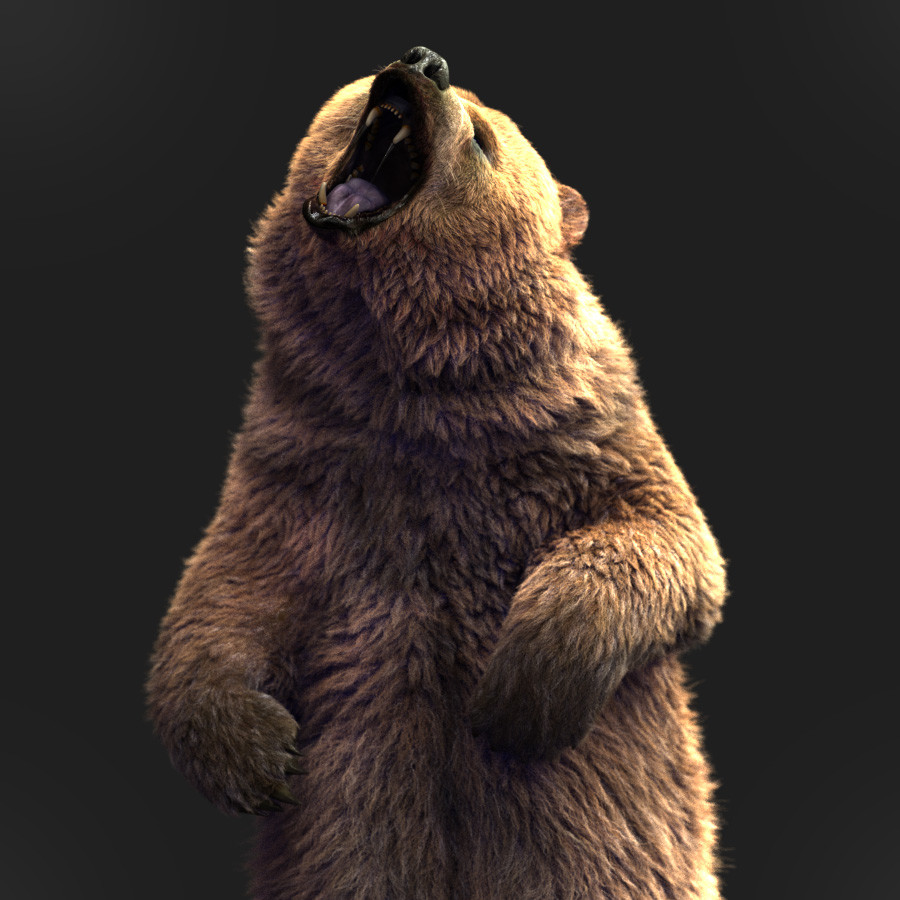 Bear upright