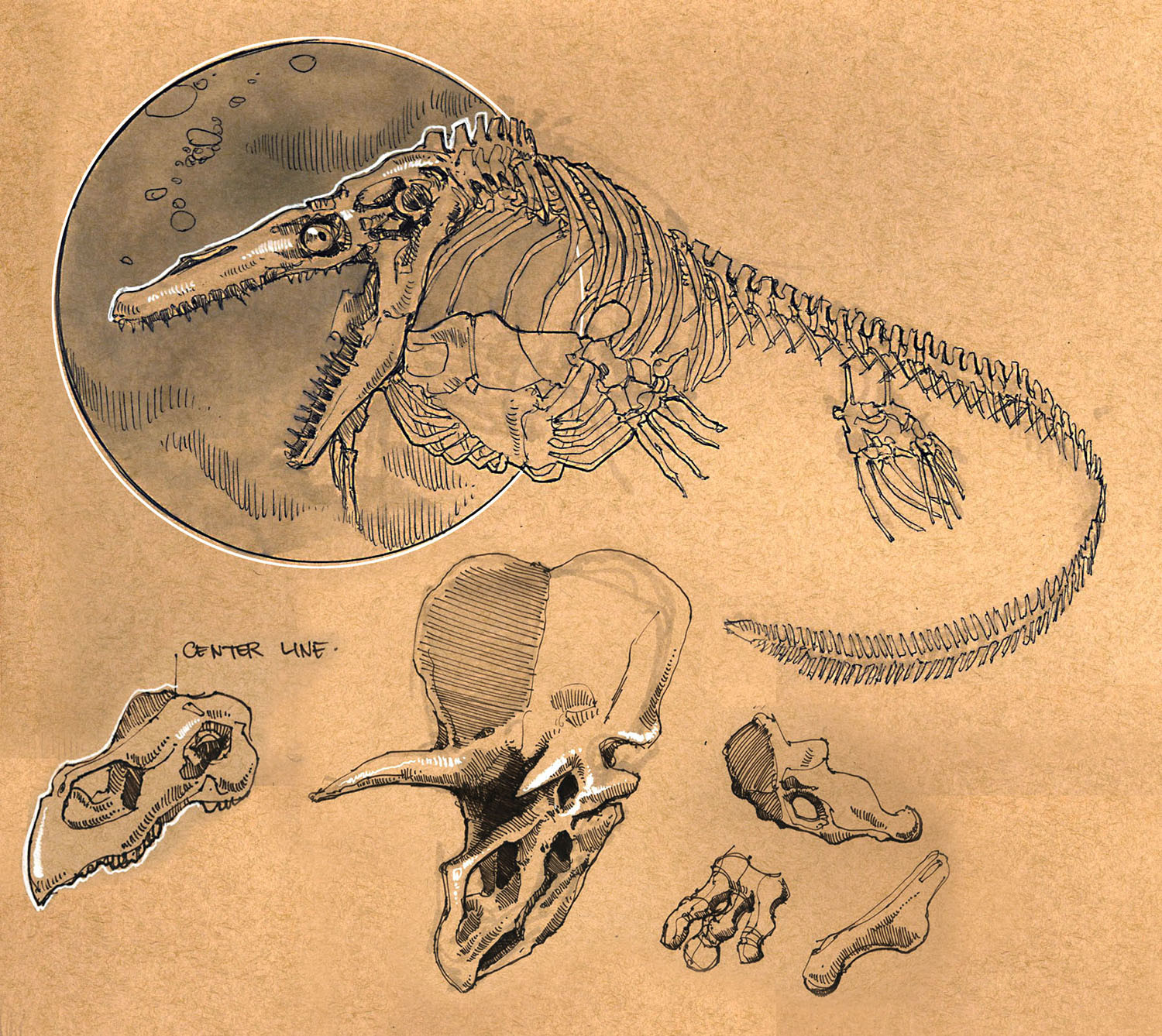 ArtStation - Foundation Art Group - Dynamic Sketching: Prehistoric Bones