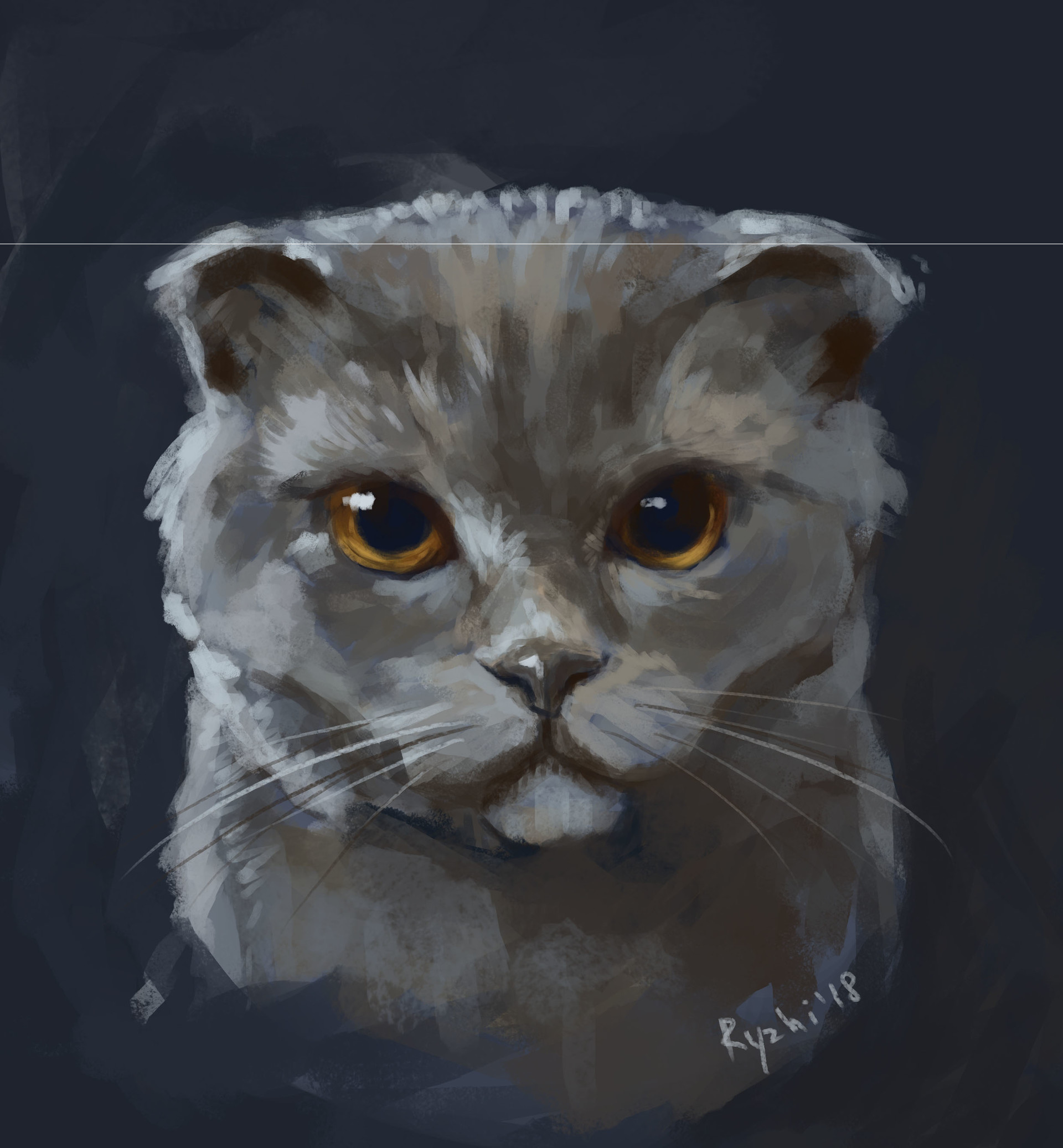 ArtStation - Fast cats sketches