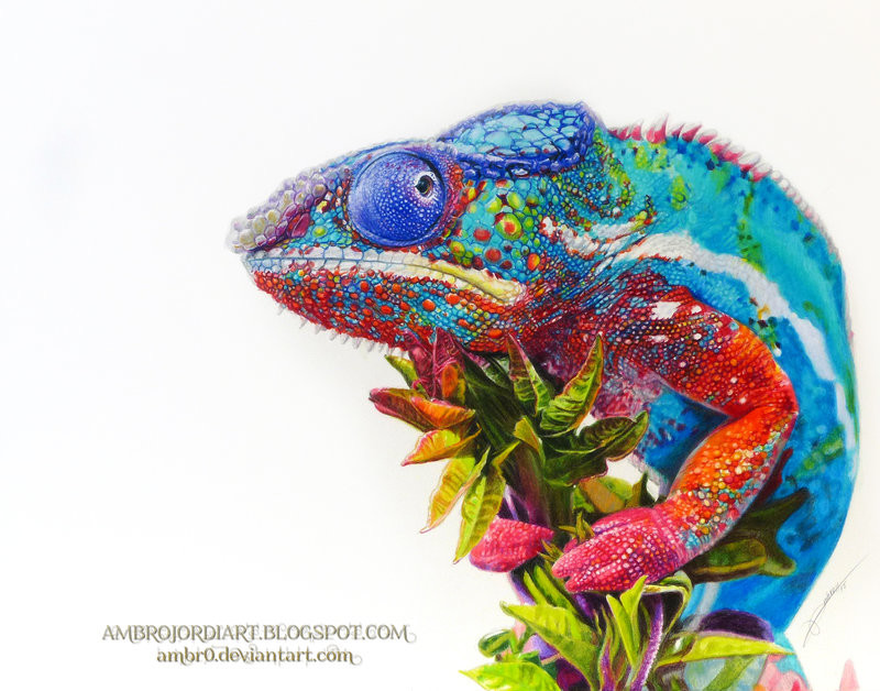 Chameleon Canvas Artwork by Miri Leshem-Pelly | iCanvas