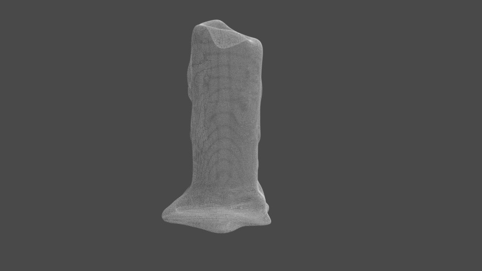 Wireframe render

