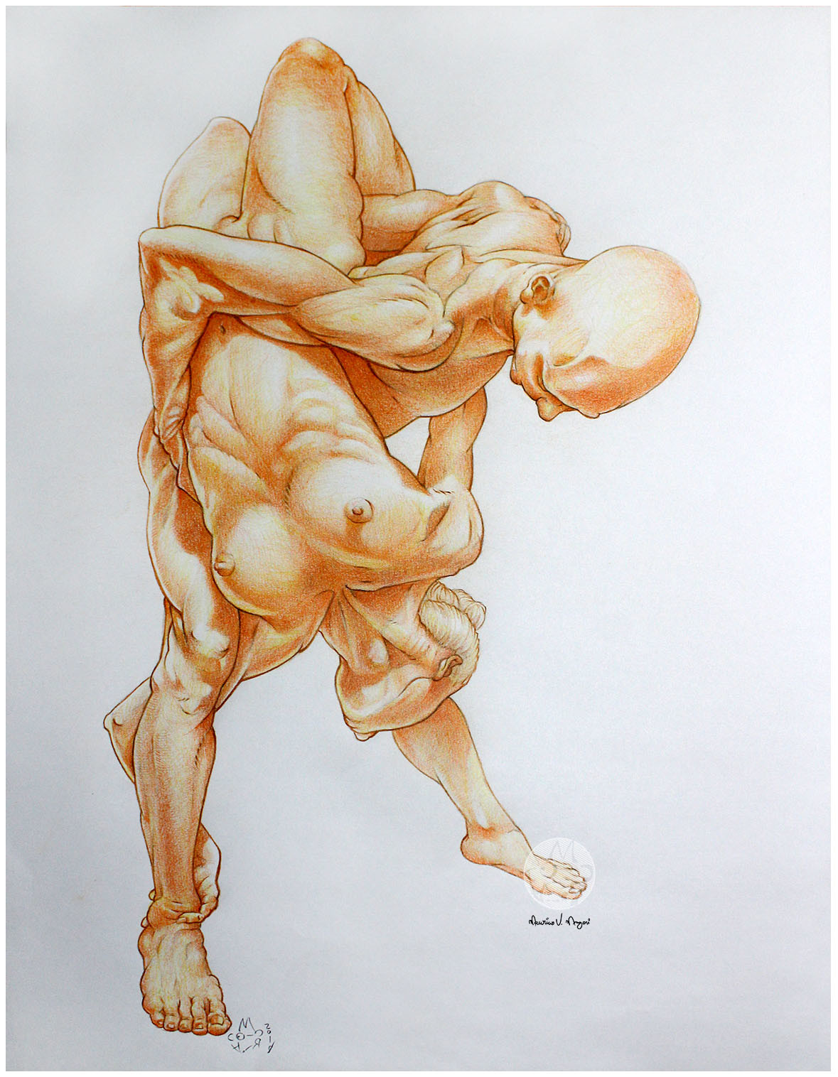 Mau Vasconcellos Dancing Couple Anatomy
