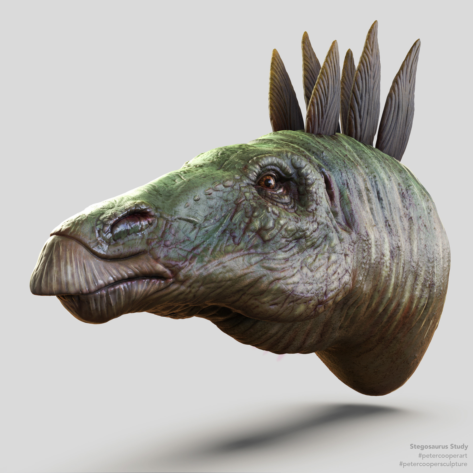 stegosaurus