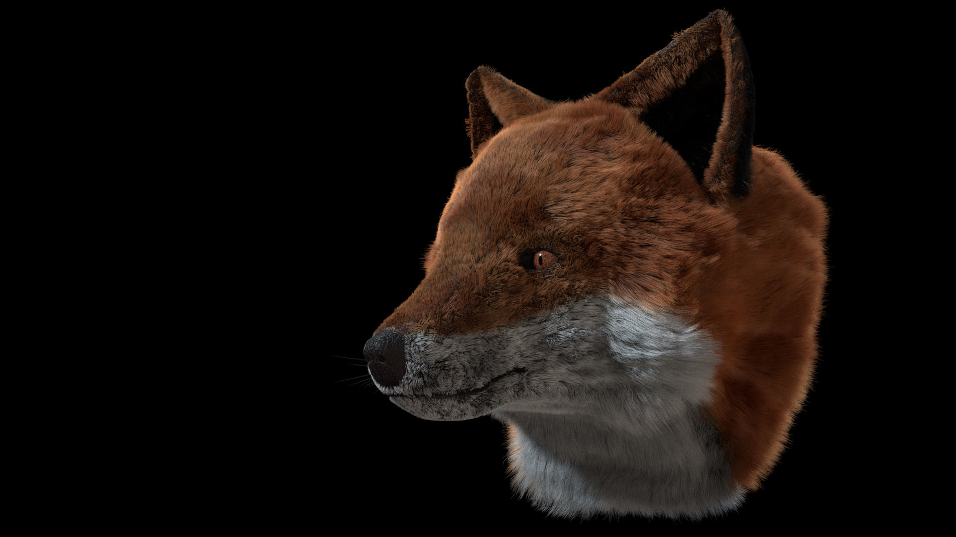 ArtStation - Fox Head