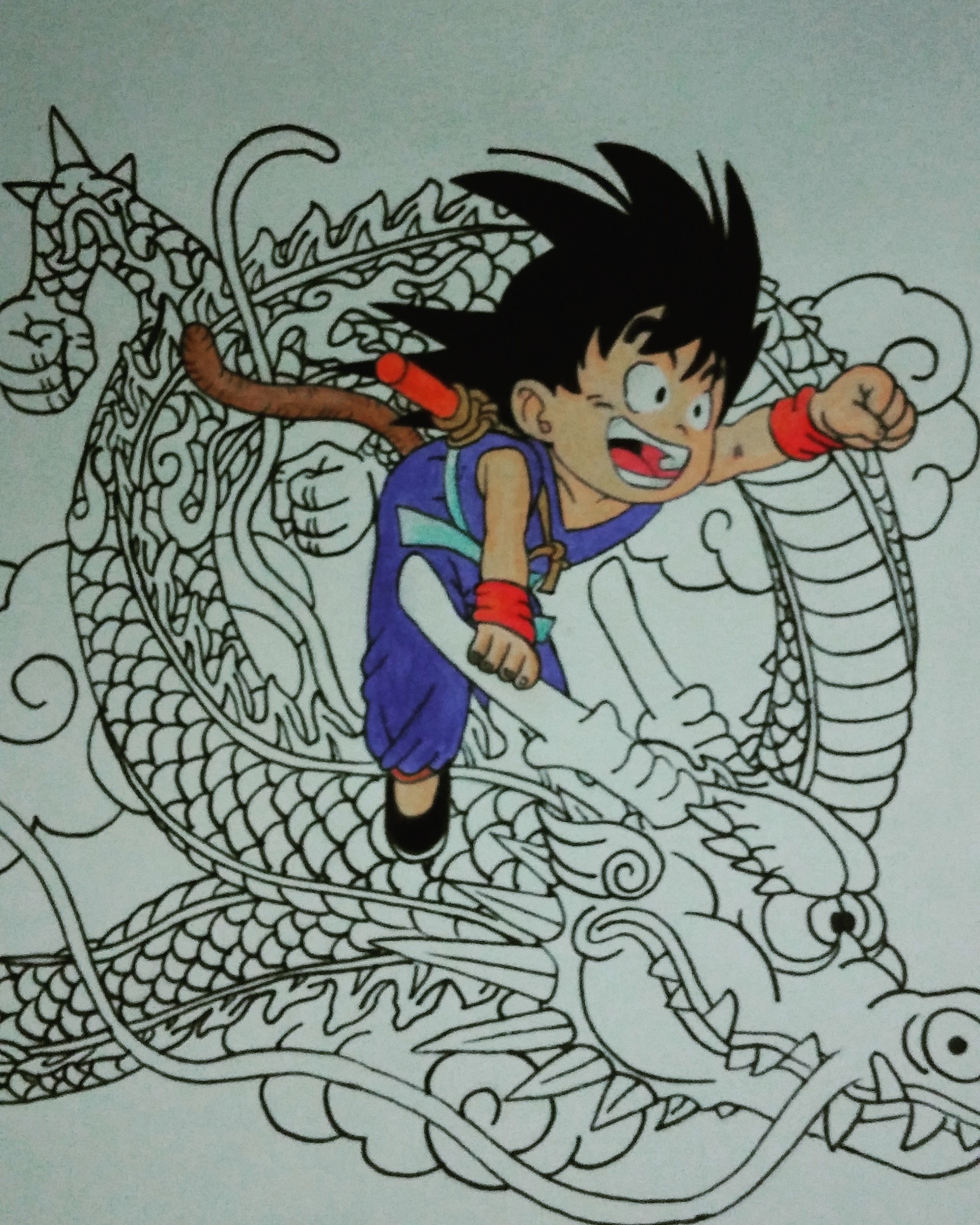 Lopes Maciel Son Goku And Shen Long