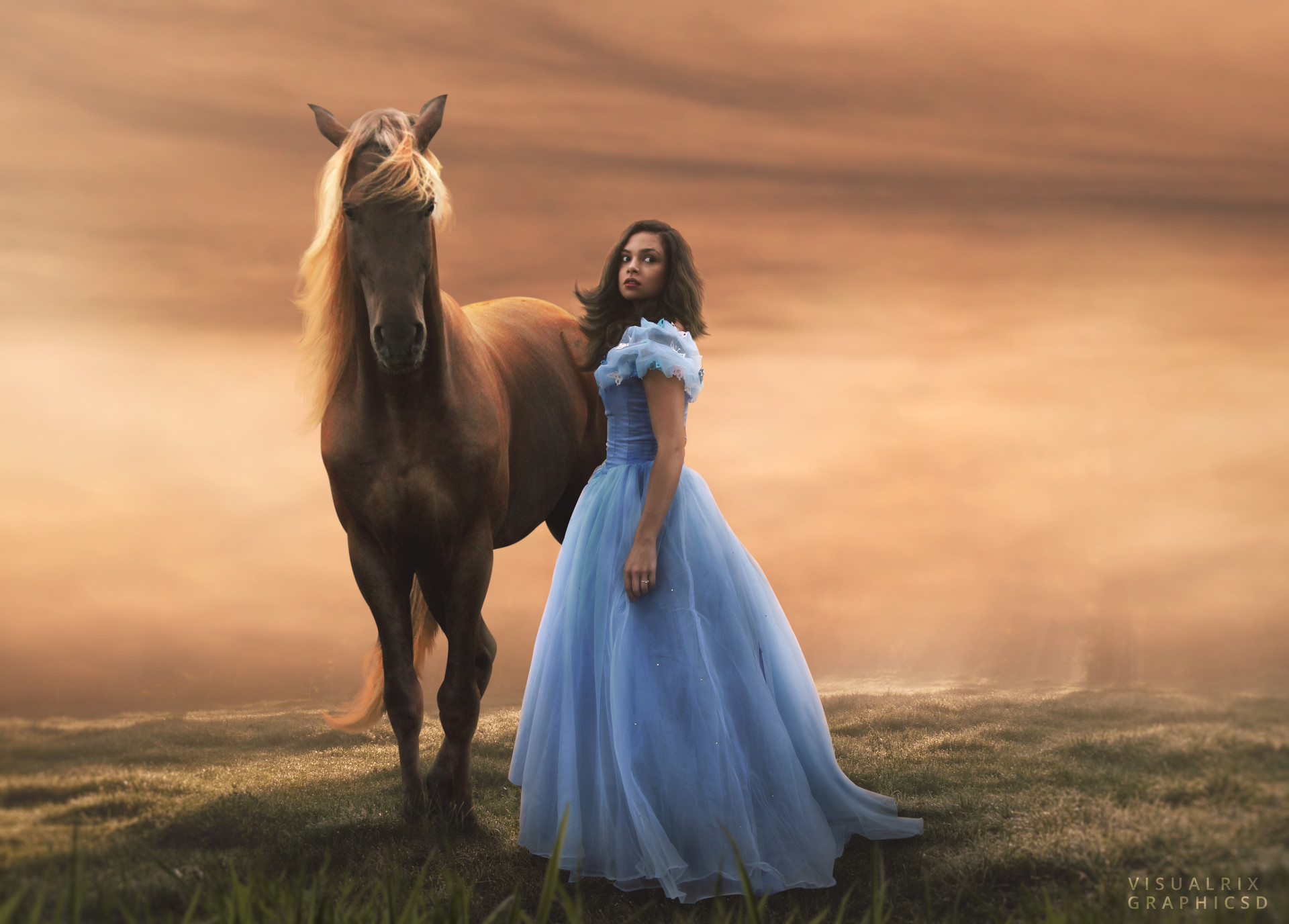 Horse edit