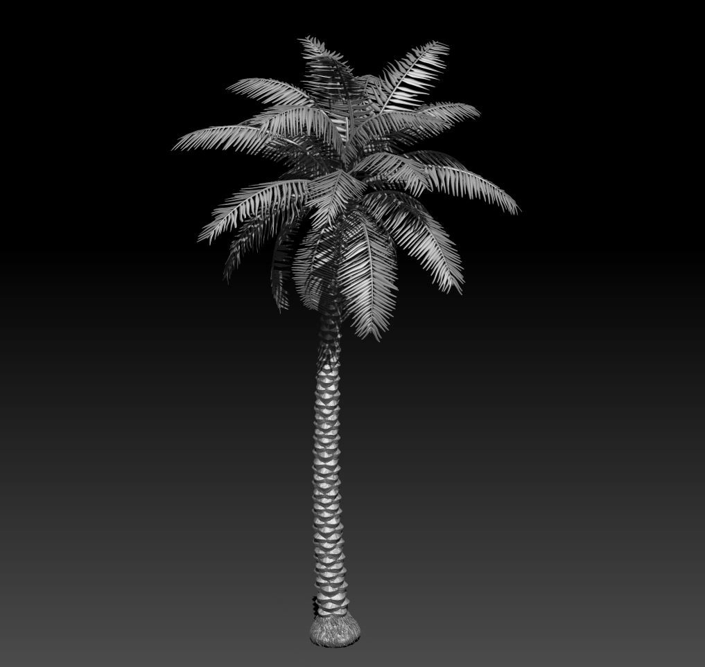This is the hipoly zbrush model I created to bake the palm trees from