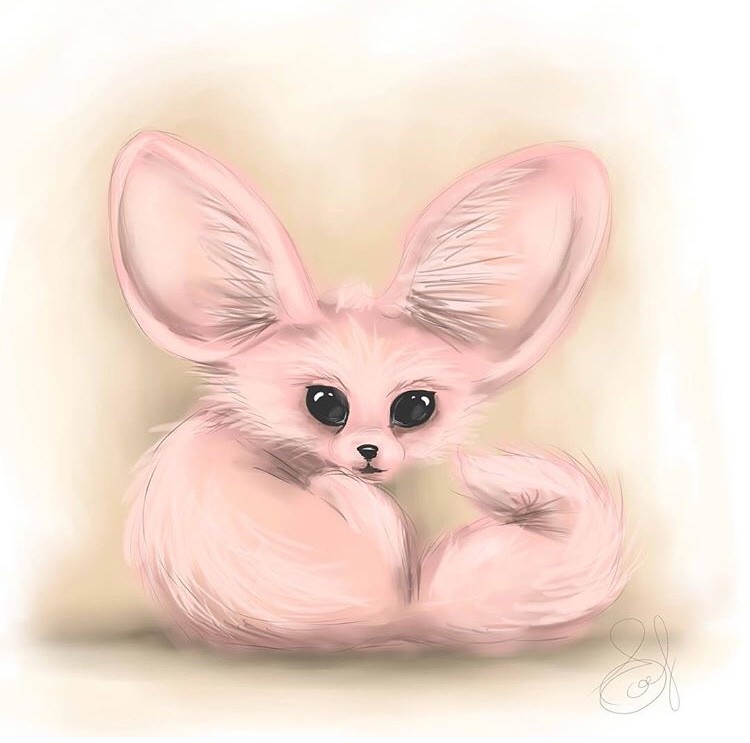 Ts Janelle Fennec