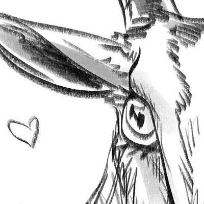 Raul pina vicente goat2