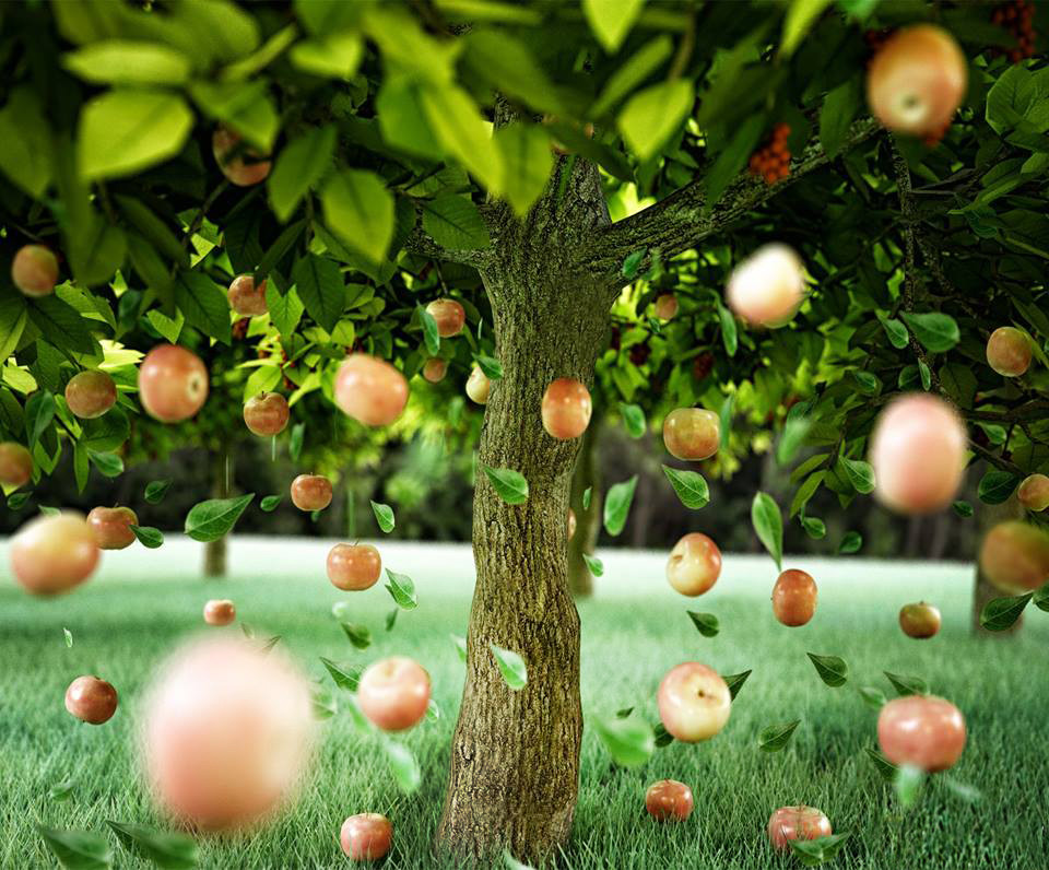 ArtStation The falling apples