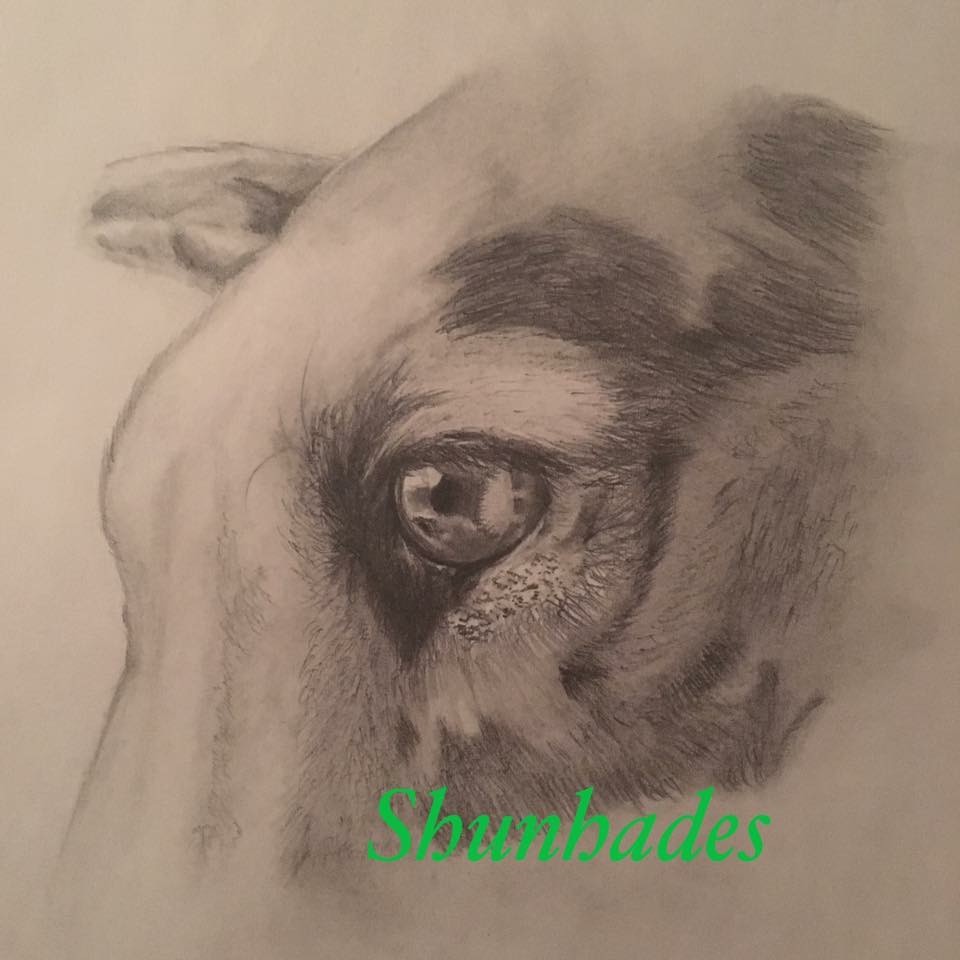 Doberman