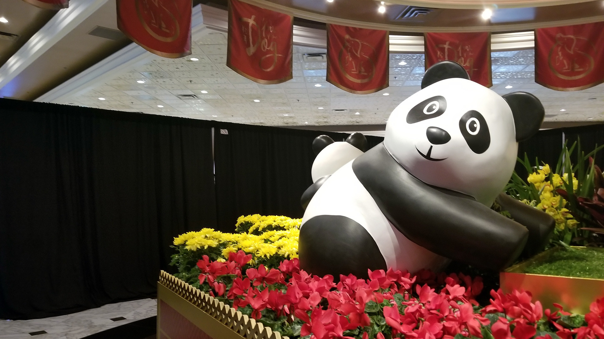 chinese new year pandas