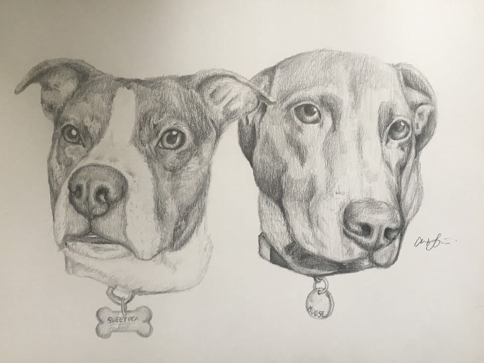 ArtStation - Pencil Drawings | Animals