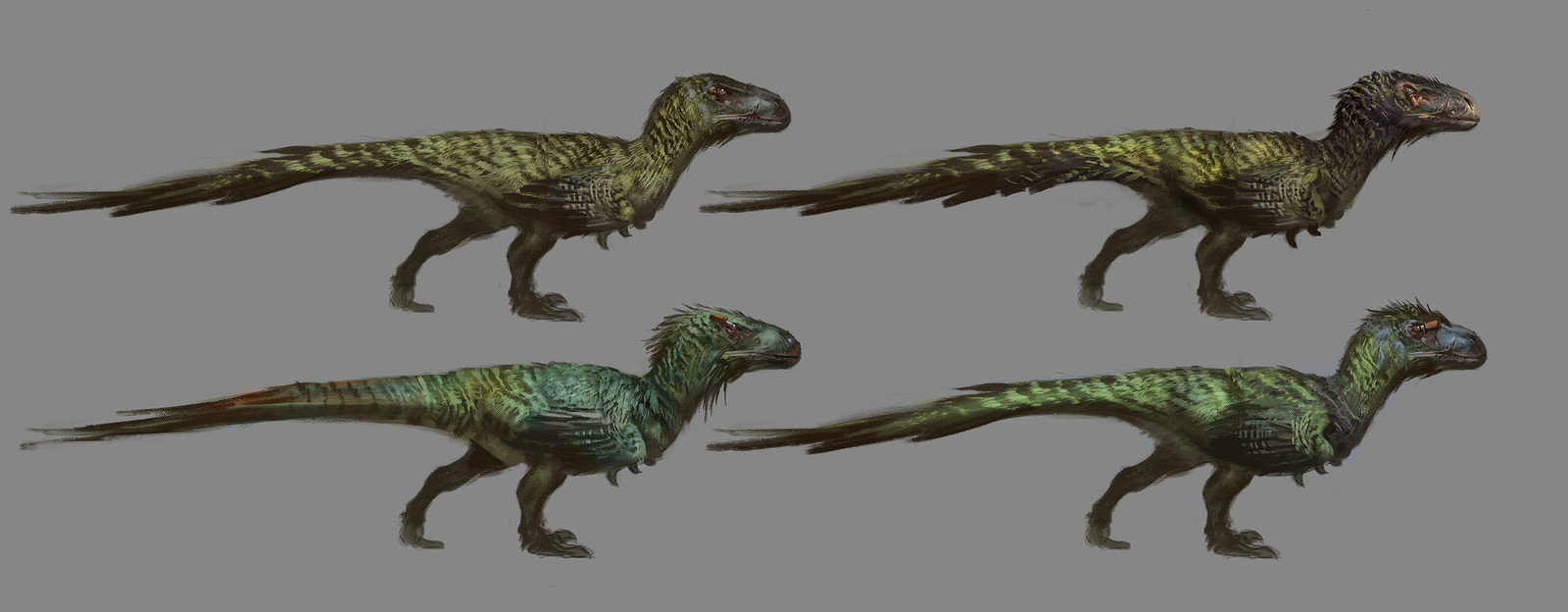 Utahraptor sketches
