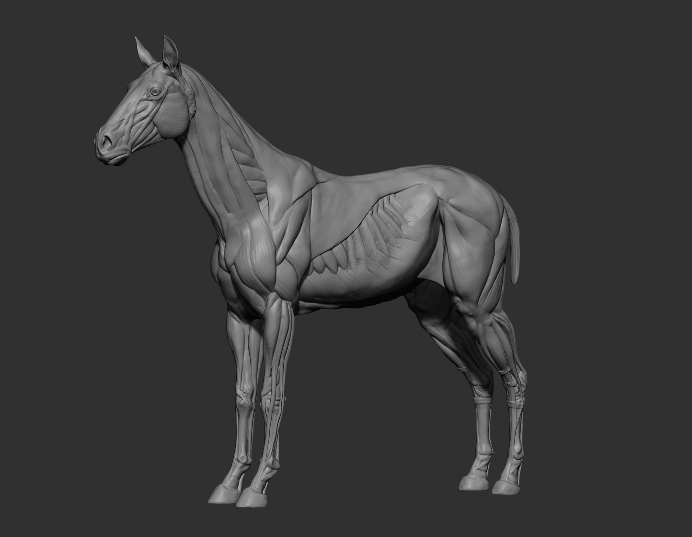 Early WIP. Started with a neutral horse