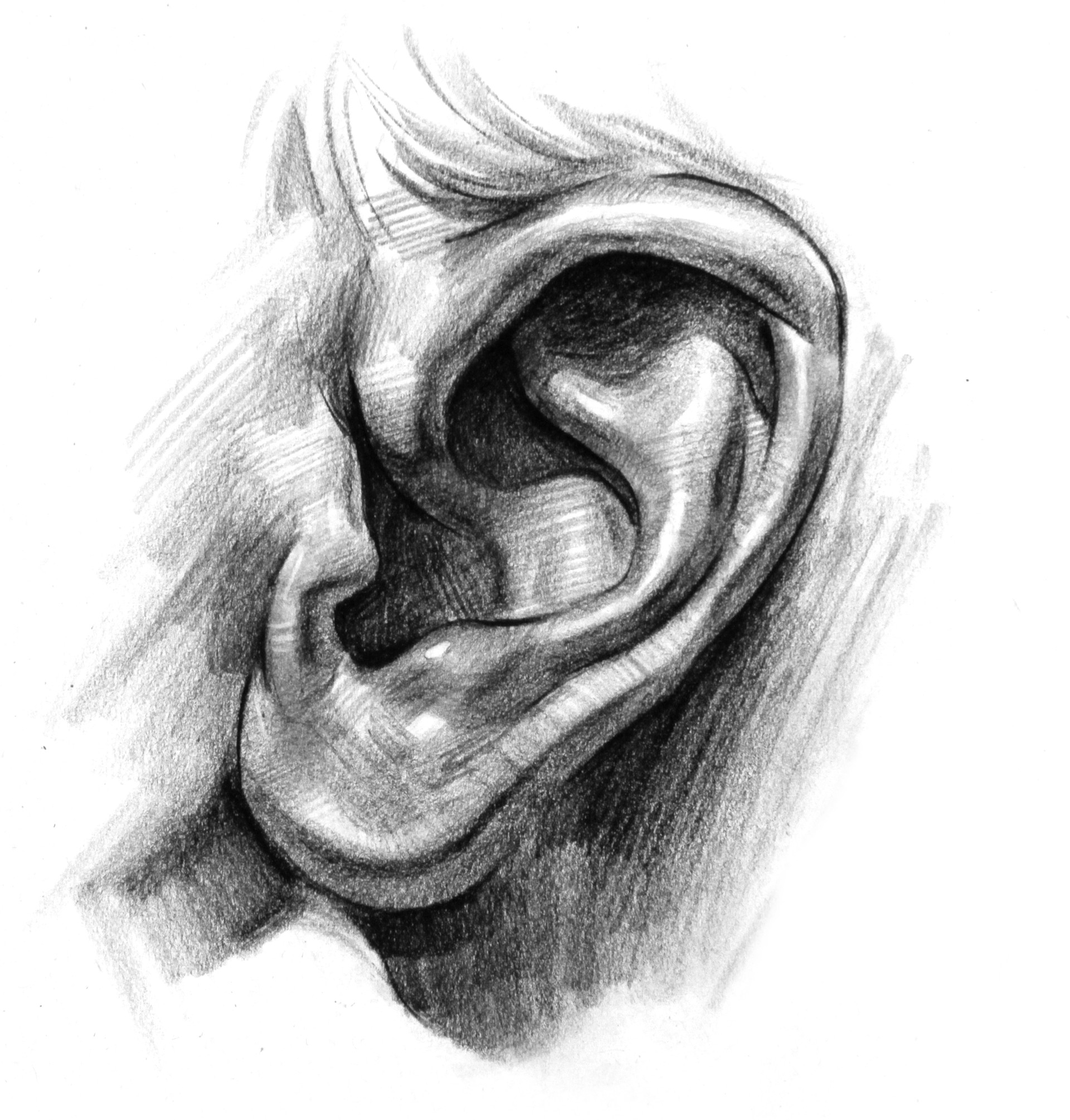 how to draw a human ear
