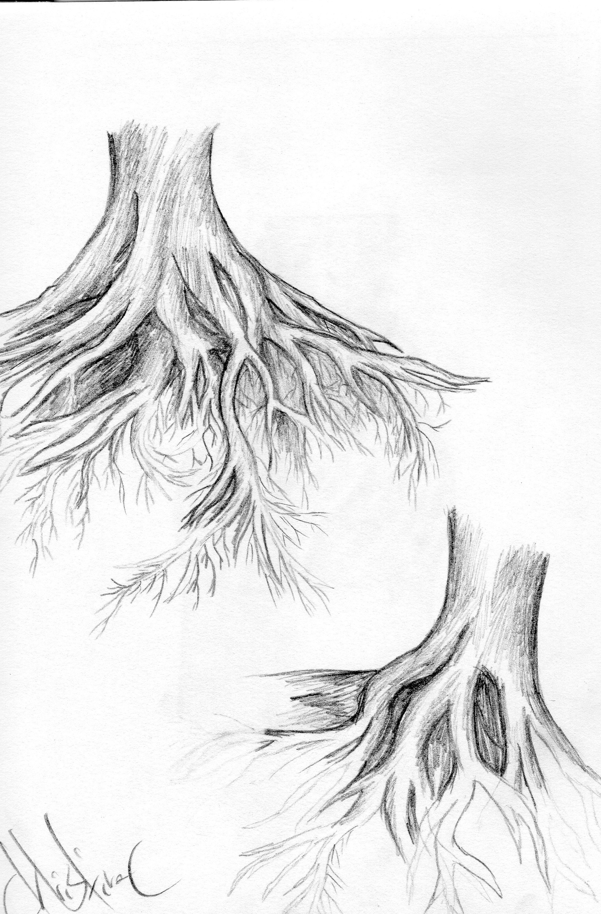 ArtStation Tree Roots