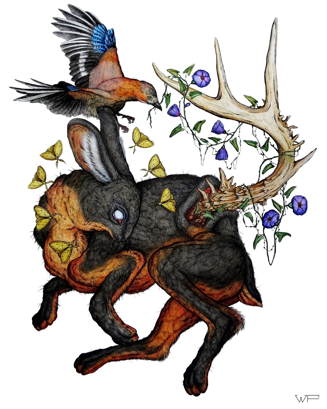 SHAERREWED ART - Black fire rabbit