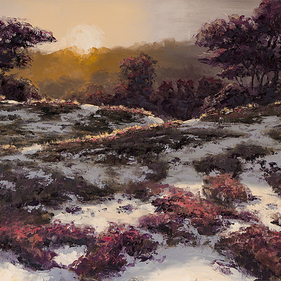 Sundown on the heath -for sale 15.7x19.6" (40x50cm)