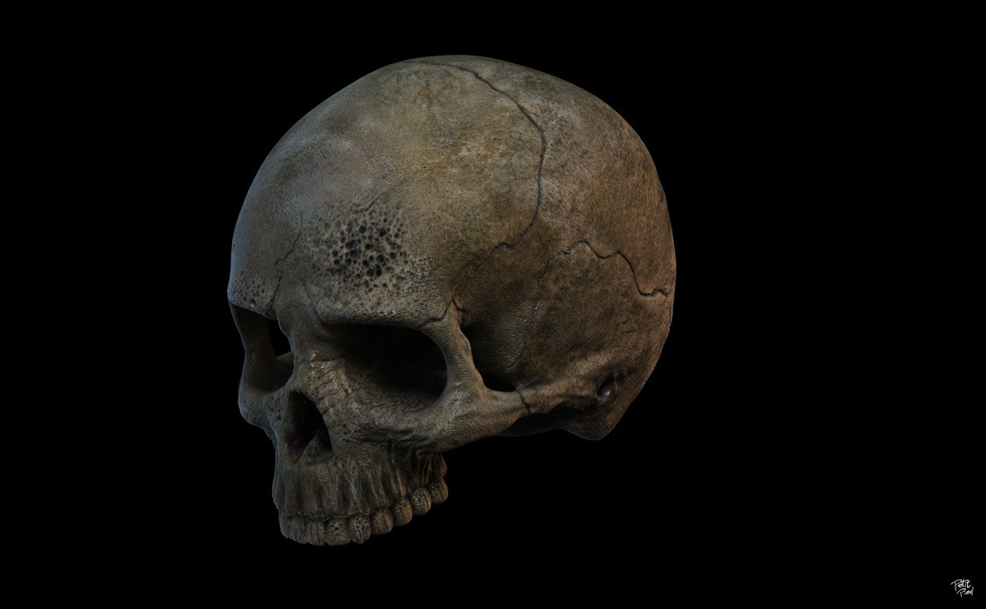Skull study in Zbrush