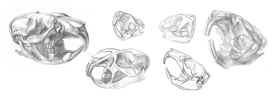 Rough sketches