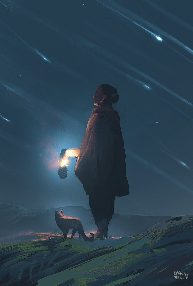 Meteor Shower