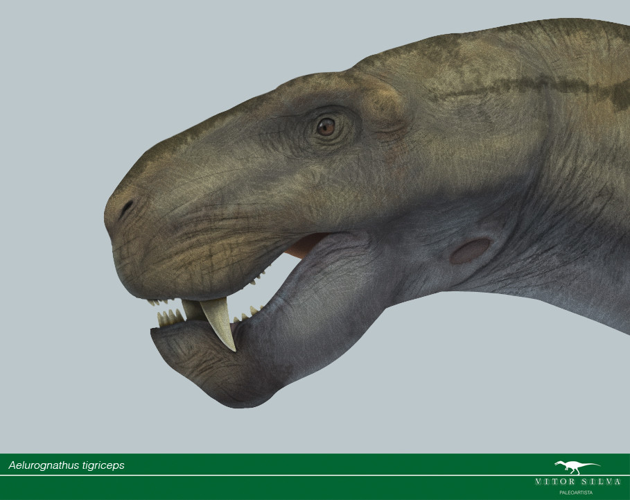 Aelurognathus