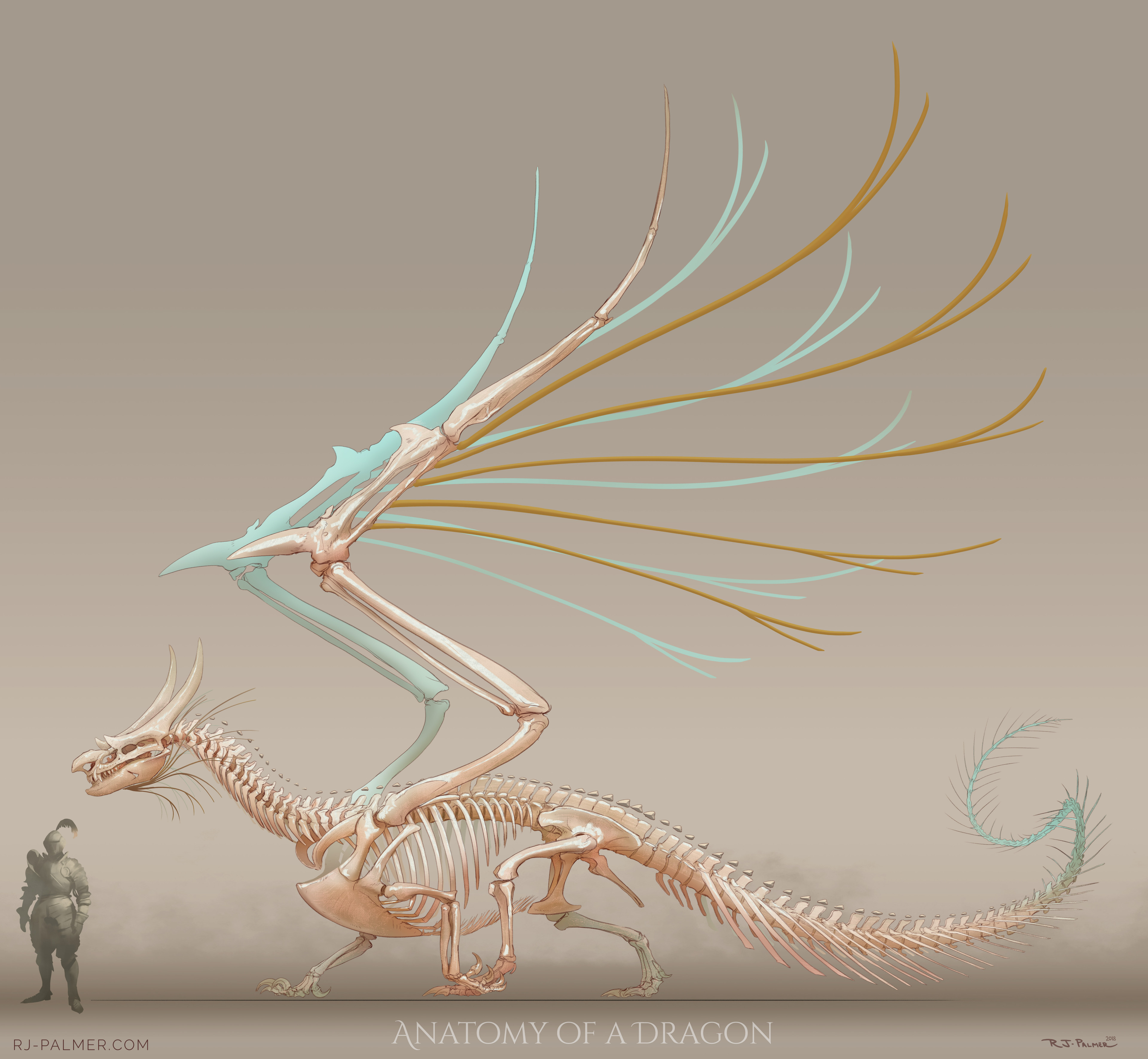 RJ Palmer - Anatomy of a Dragon