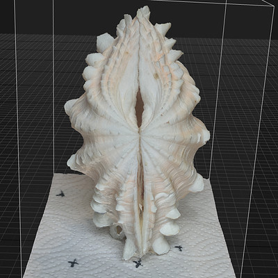 Photogrammery Shell