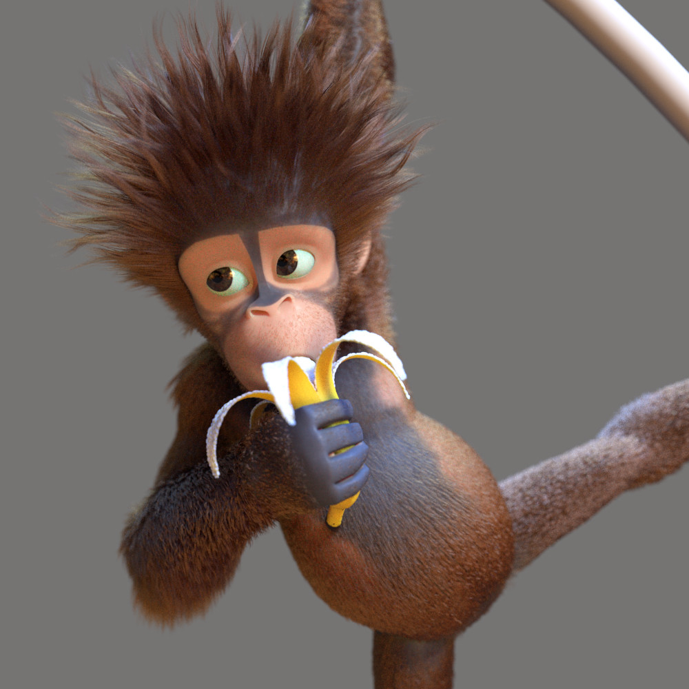 Antoine Fromager - Baby Orangutan