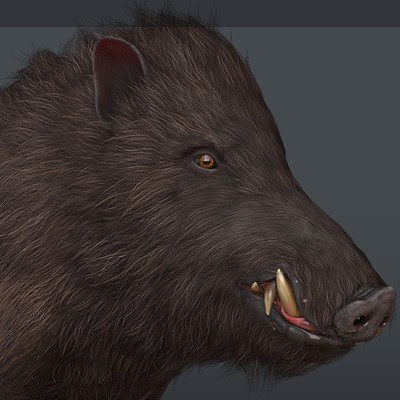 In game Boar