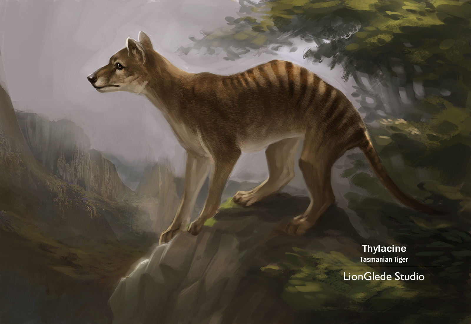 ArtStation - Thylacine the Tasmanian Tiger, Sonny Sun