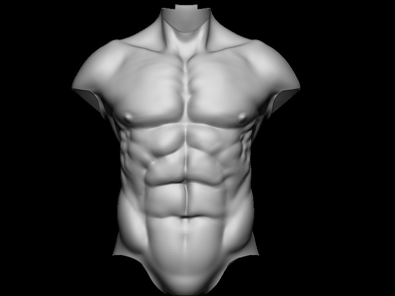 Artstation Male Torso 3d Study Matheus Eduardo Rosas Mello
