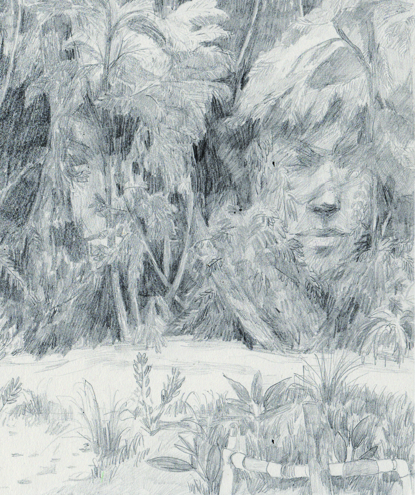 pencil original 