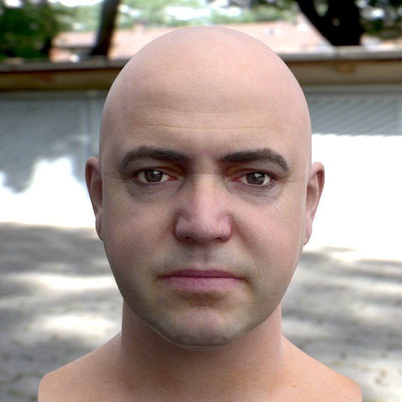 Artstation The 3d Model Realistic Male Head Stephan Plotnicov