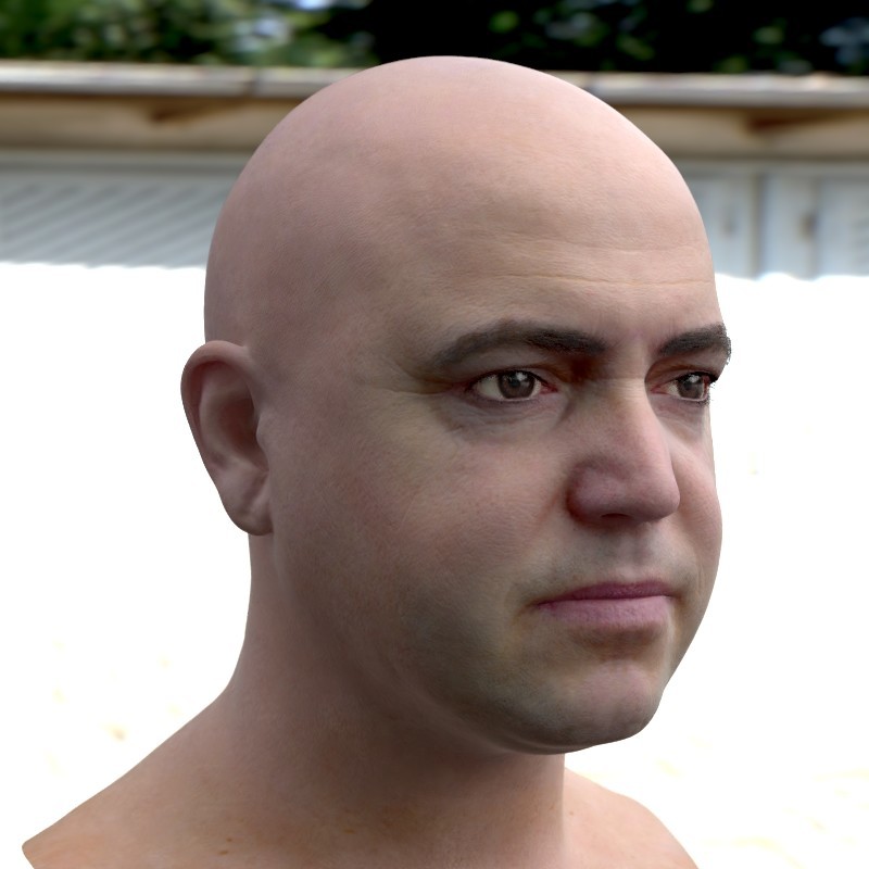 Artstation The 3d Model Realistic Male Head Stephan Plotnicov