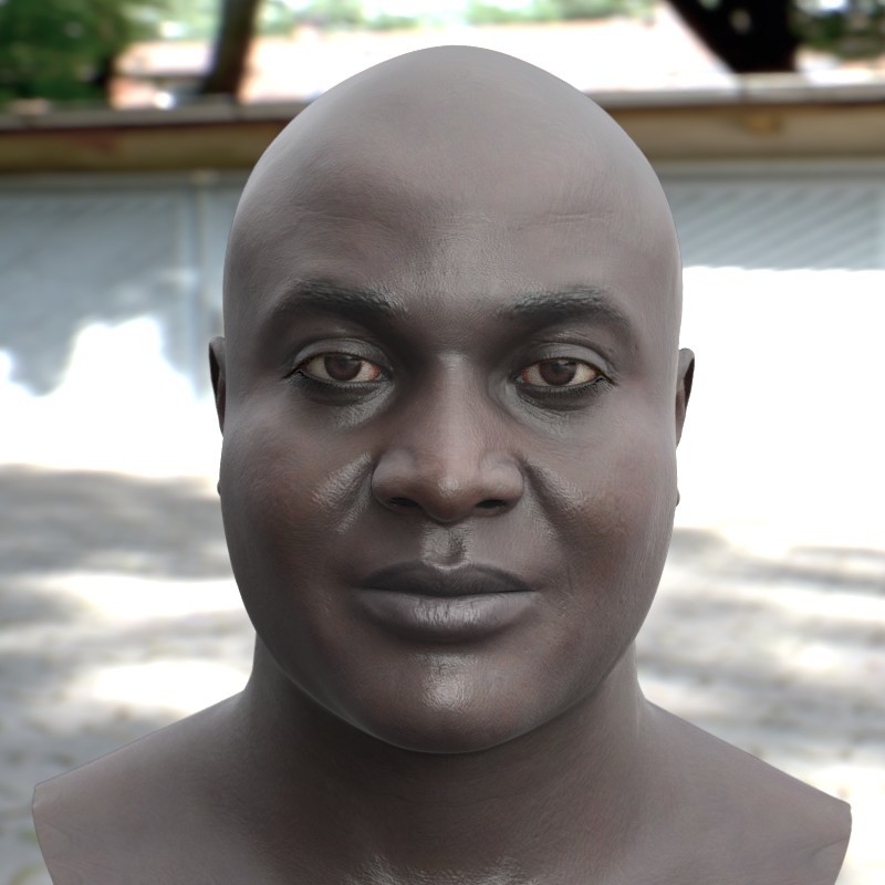 Stephan Plotnicov 3d Model Joseph Head Male