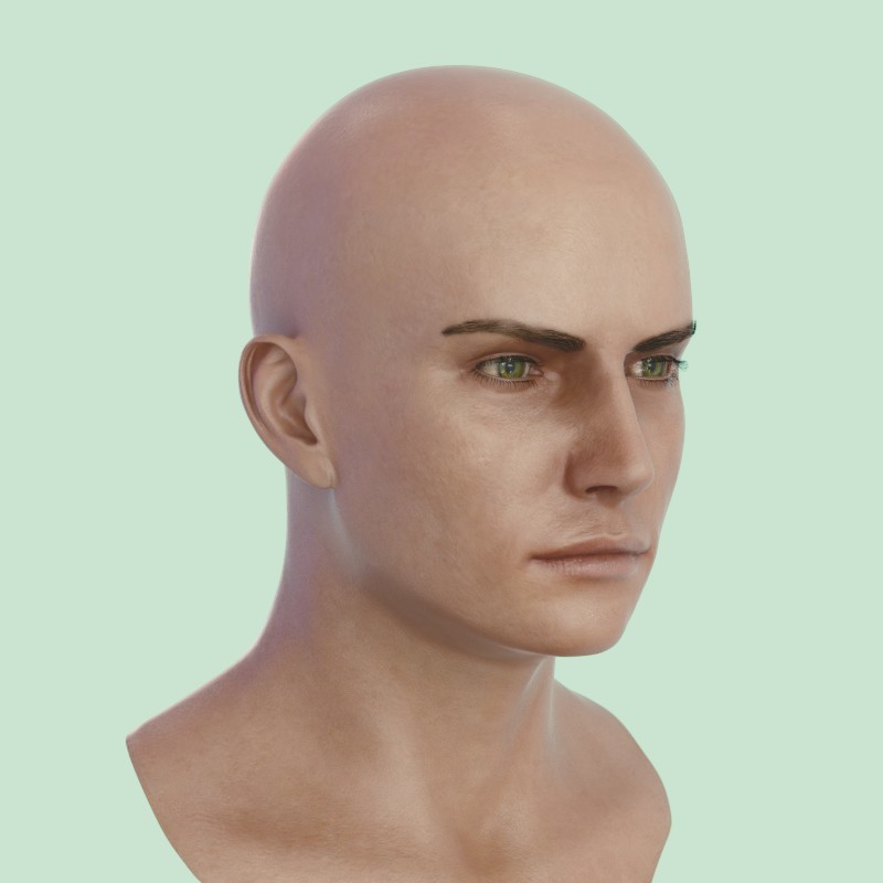 Artstation 3d Model Human Head Male V6 Stephan Plotnicov