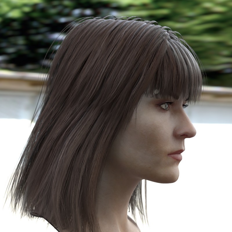 Artstation The 3d Model Of A Woman Head Female Stephan Plotnicov