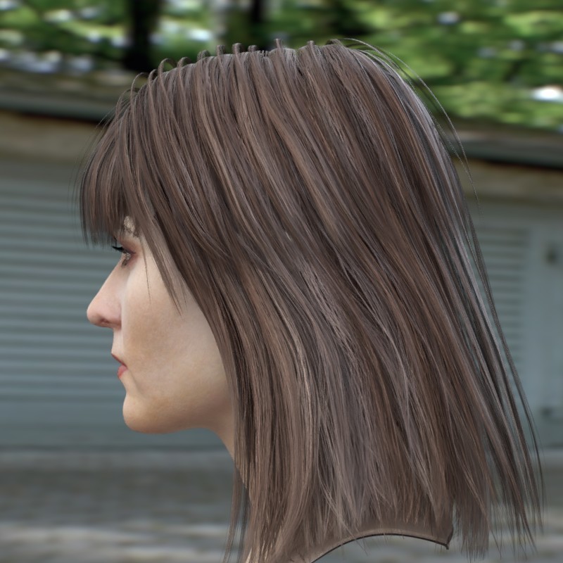 Artstation The 3d Model Of A Woman Head Female Stephan Plotnicov