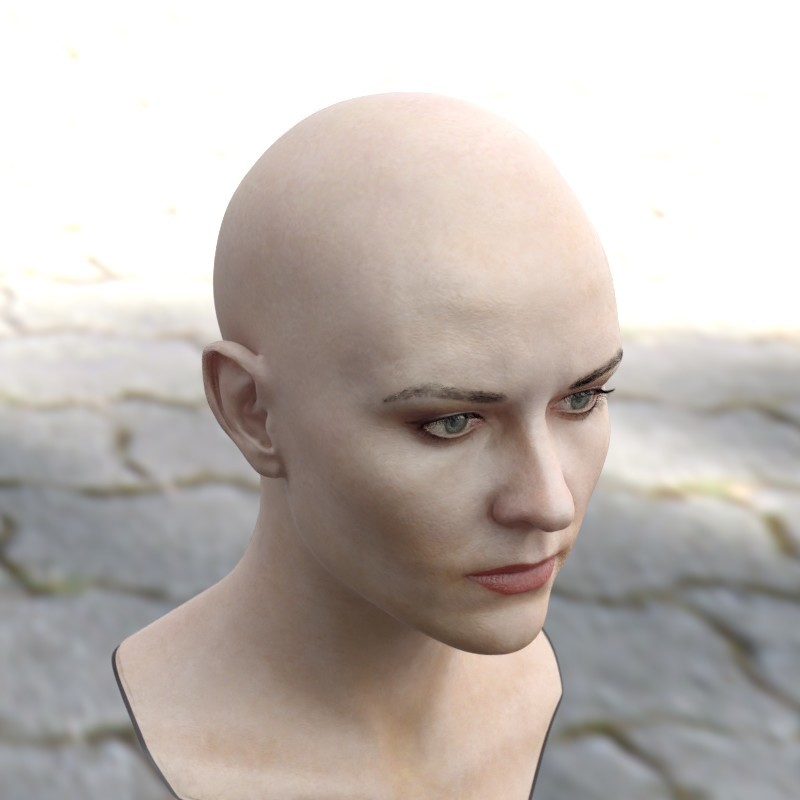 Artstation The 3d Model Of A Woman Head Female Stephan Plotnicov