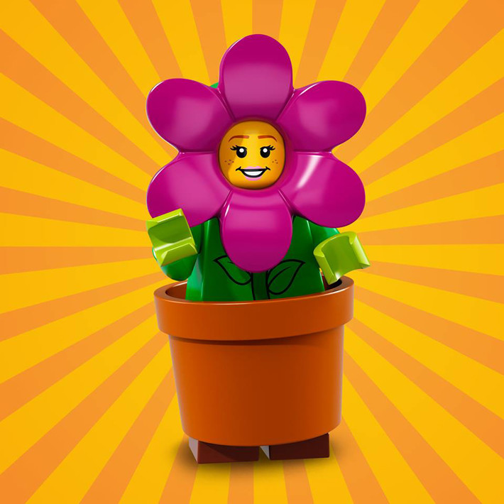 Flower Hat and Pot
