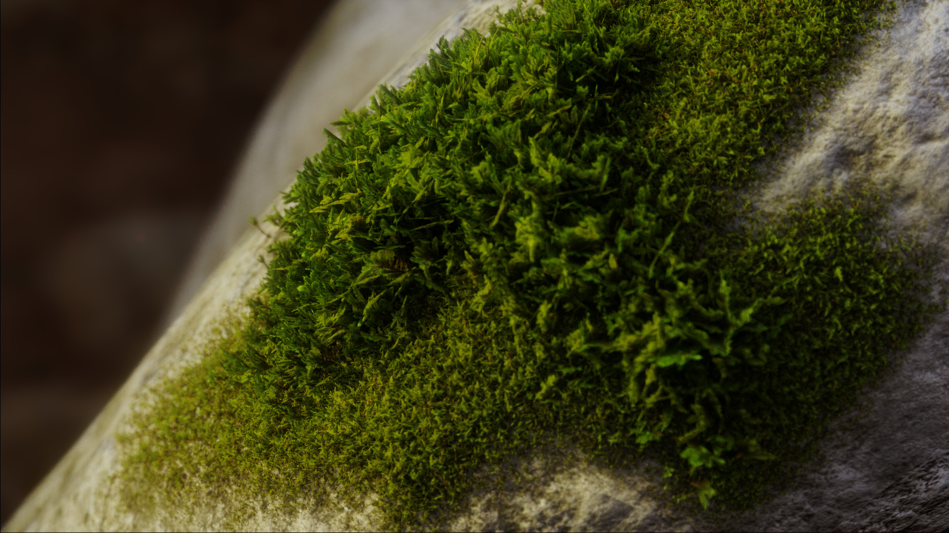 Wyatt Hensley Mossy Rock Pillowy Wyatt Hensley Mossy Rock Pillowy
