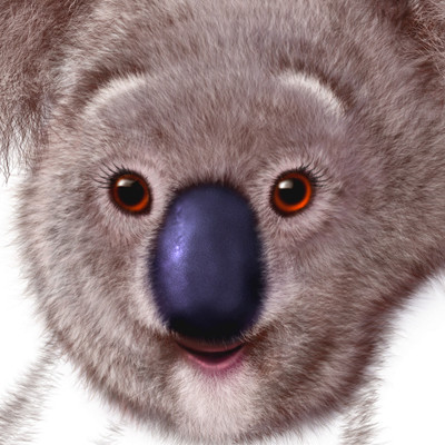 cushelle toilet roll koala bear