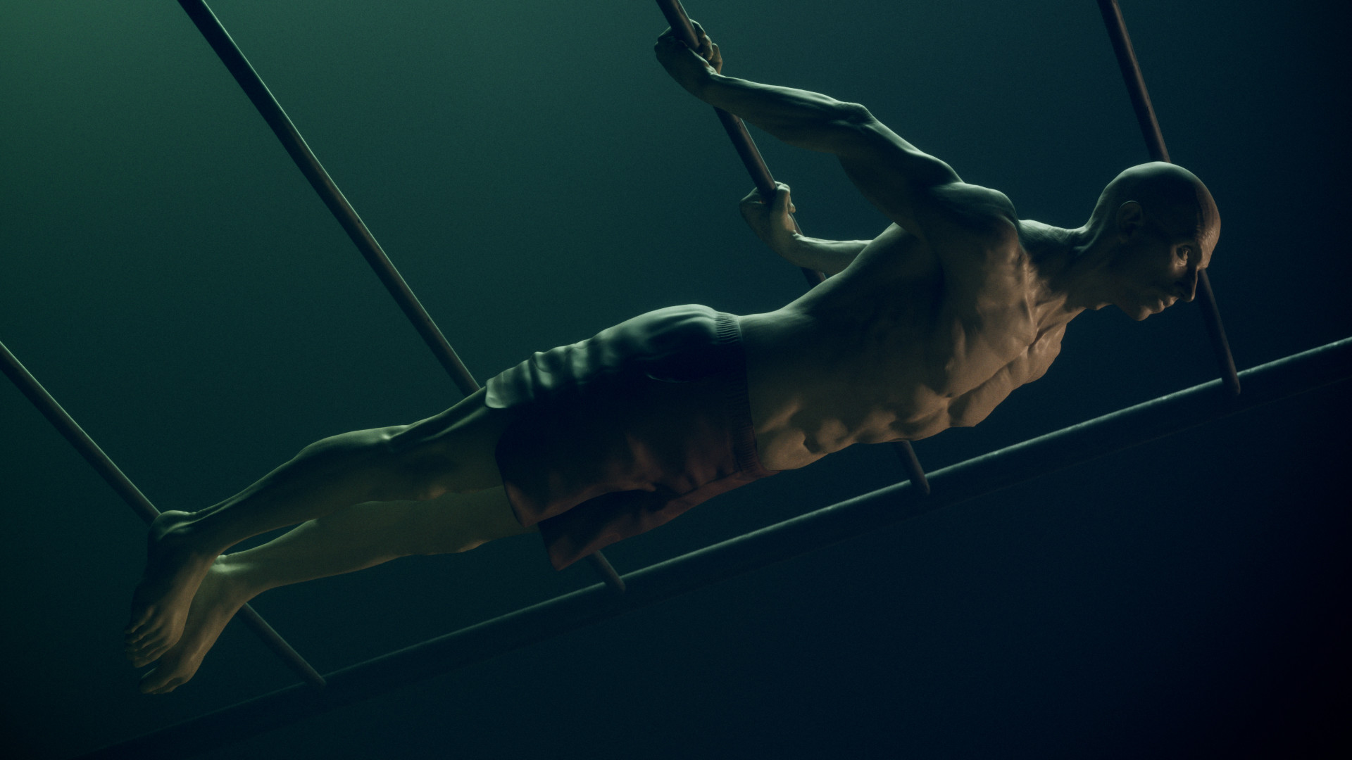 Back hotsell lever calisthenics