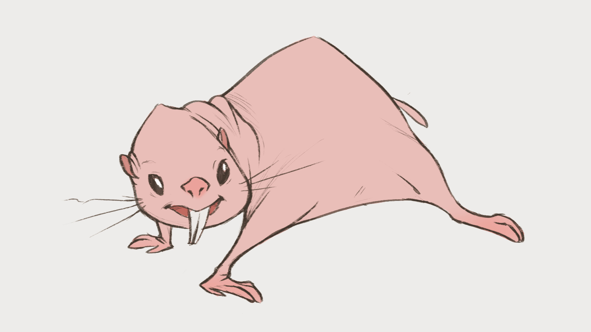 Artstation Just A Naked Mole Anni