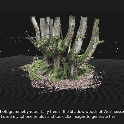 Fairy Tree shadow woods 