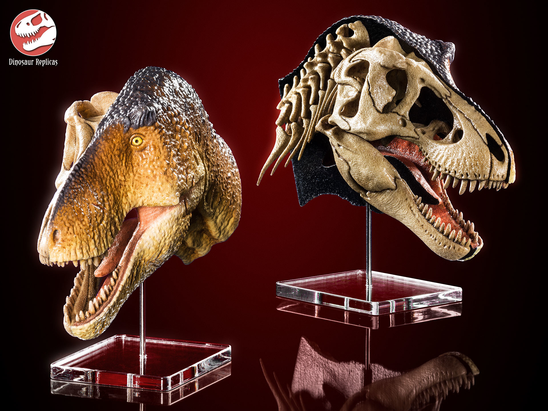 dinosaur-replicas-dual-rex-hex-01a.jpg?1