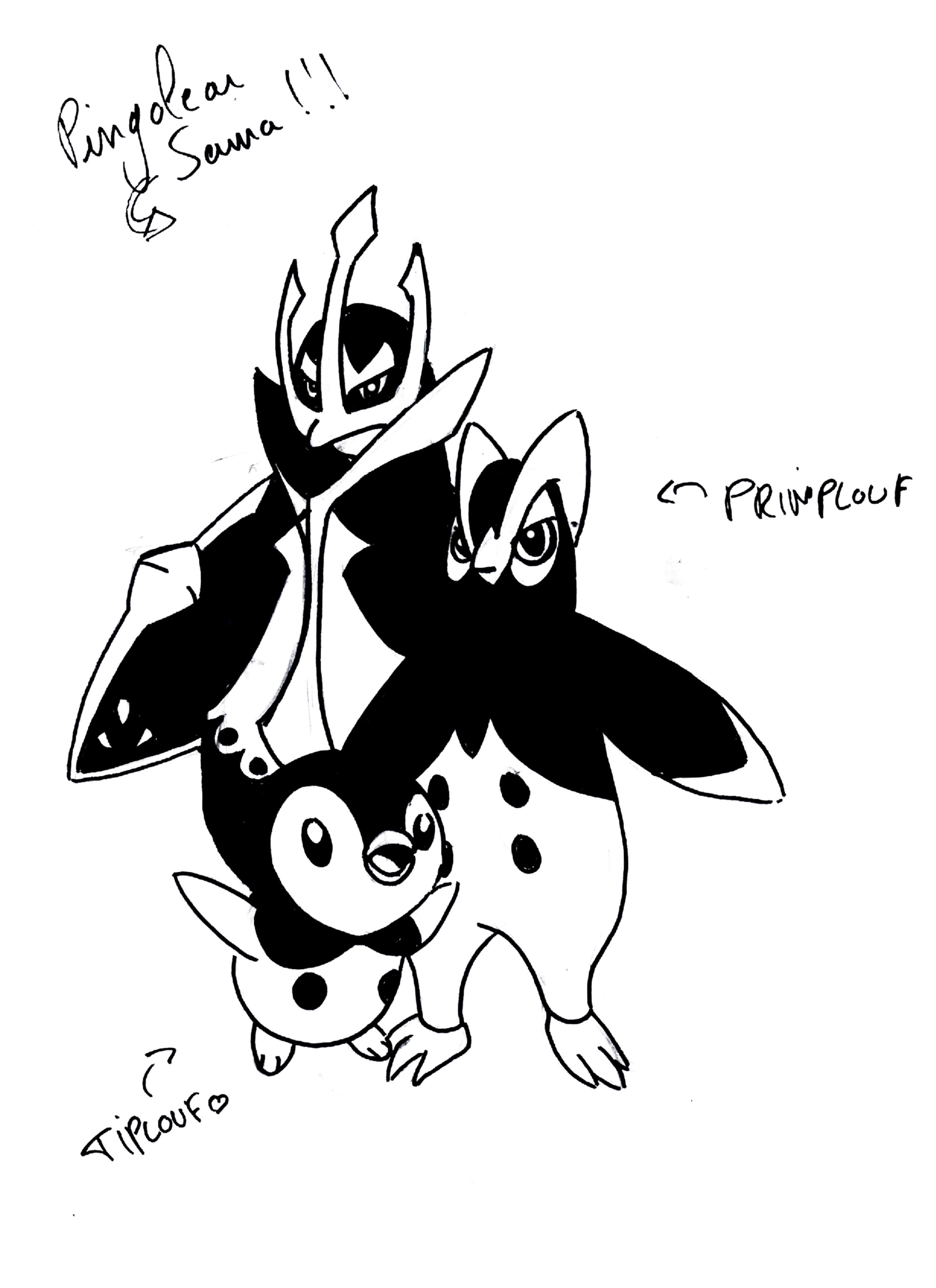 pokémon teddys